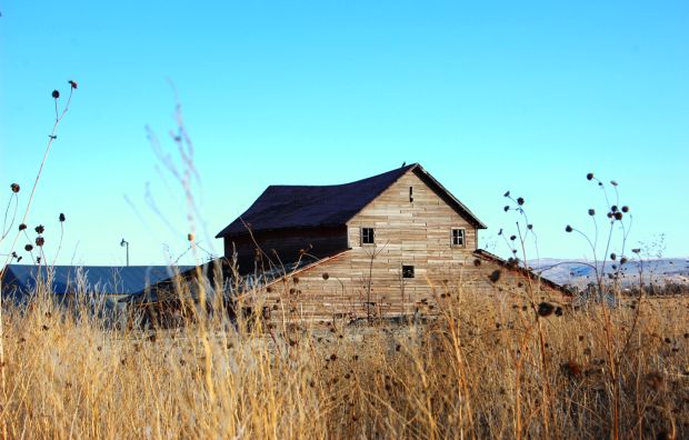 Barn